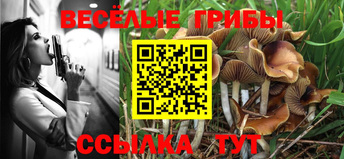 Псилоцибиновые грибы мухоморы Владивосток