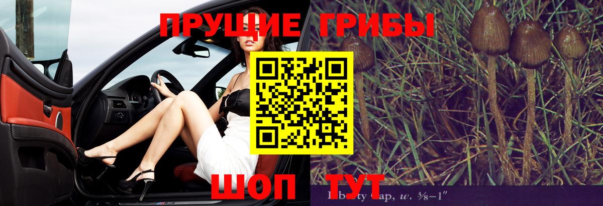 Псилоцибиновые грибы MAGIC MUSHROOMS  Вход с VPN  Владивосток  Галлюциногенные грибы Cubensis 